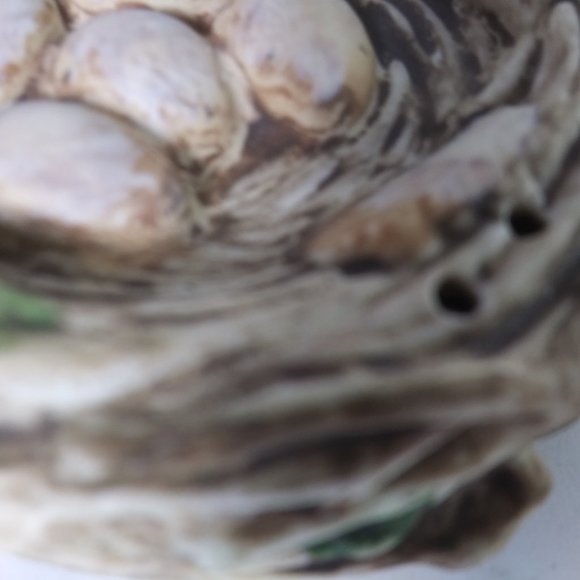 bluebird on nest salt and  pepper shakers Ceramic - Picture 8 of 8